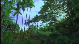 SDDS Jungle Trailer Sony Dynamic Digital Sound [upl. by Claiborne]