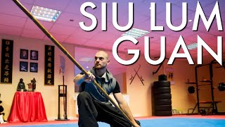 CHOY LEE FUT SHAOLIN KUNG FU STAFF 少林棍  Siu Lum Guan [upl. by Seugirdor254]