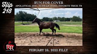 Ruidoso Select Yearling Hip 218 [upl. by Enajyram]