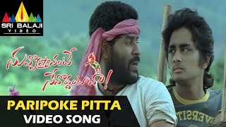 Nuvvostanante Nenoddantana Video Songs  Paripoke Pitta Video Song  Siddharth [upl. by Sixla]