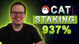 Why Staking CAT is the smartest move Stake Simons Cat [upl. by Acinoda]