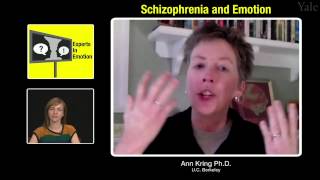 Experts in Emotion 173a  Ann Kring on Schizophrenia and Emotion [upl. by Yaron]