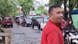 Akibat hujan disertai angin pohon tumbang [upl. by Isdnyl]