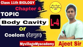 देहगुहा Body Cavity Or Coelom। By Ajeet Sir animalkingdomclass11 myvillagemyacademy [upl. by Fahland]