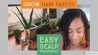 GROW HAIR FAST DO THIS [upl. by Enaillil]