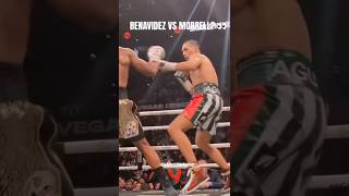 BENAVIDEZ VS MORRELL NEXT davidbenavidez davidmorrell canelo themexicanmonster boxing fyp [upl. by Cohligan]