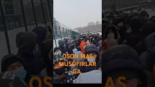 OSON MAS MUSOFIRLARGA SHOX NUR 94 478 79 79 [upl. by Sissie]