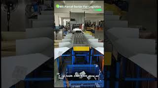 DWS Parcel Sorter For Logistics parcelsorter sortingchallenge sortingmachine parcelsorting [upl. by Allerym775]