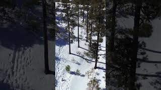 Southwest Drone Tech  Snowy Scenes [upl. by Burrow]