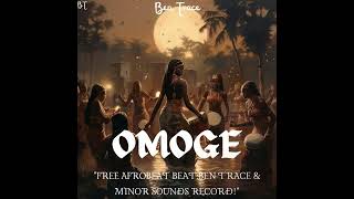 Tems ft Omah Lay Insane Afrobeat type beat OMOGE Afrobeat 2024 [upl. by Glenden]