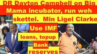 Dr Dayton Campbell on ig Mama incubator run weh skettelLigel Clarke use IMF loans top up reserves [upl. by Rasia721]