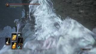 Dark Souls 3 Ashes of Ariandel  Crow Talons Location [upl. by Trocki452]