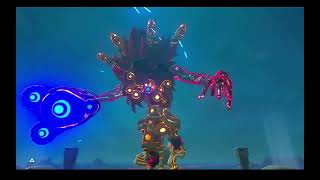 Link destroys windblight ganon no damage Zelda botw master mode [upl. by Shannen]