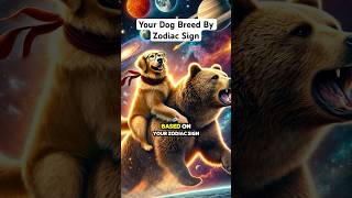 Your Dog Breed Based On Your Zodiac Sign pt2 [upl. by Annij]