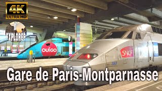 【4K】🇫🇷Gare de ParisMontparnasse》SNCFTransilien TGV and Metro Station [upl. by Eiltan]