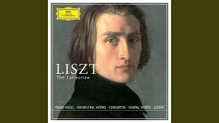 Liszt Mignons Lied  Kennst du das Land S275 [upl. by Nnaxor]