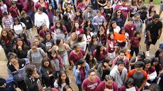 Farrington High School Walkout [upl. by Hilda]