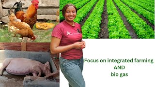 Integrated farming system integrated cowscrops and bio gas [upl. by Gollin]