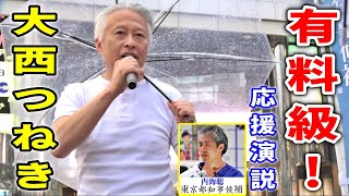 チャット欄に絶賛の嵐！大西つねき「いま世界で起きている事」 内海聡 街頭演説 2024630 新宿 うつみさとる うつみん東京都知事選 [upl. by Misab597]