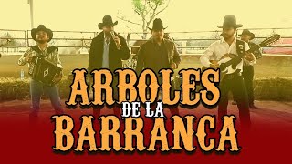 Carlos y Jose Jr ft Impostores de Nuevo Leon  Arboles de la Barranca [upl. by Eizus]