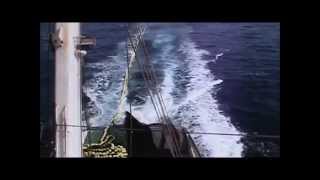 Tuna Purse Seine Fishing Quick Summary [upl. by Darwin]