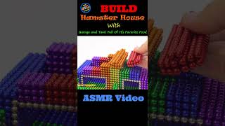 Build Hamster House with Garage and Tank Full Of His Favorite Food asmrvideos magnet satisfying [upl. by Batista739]