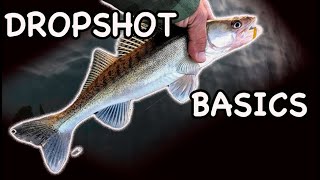 DROPSHOT essentials Set up for Perch amp Zander fishing [upl. by Wadsworth]