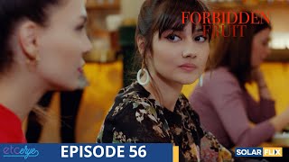 Forbidden Fruit Episode 56  FULL EPISODE  TAGALOG DUB  Turkish Drama [upl. by Loomis]