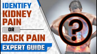 Identify Back Pain or Kidney Pain  Expert Guide [upl. by Mullen]