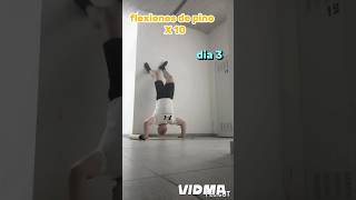 flexiones de pino x 10  dia 3 de mi progresionshorts gym fitness [upl. by Archer]