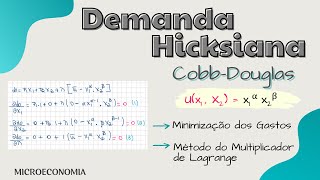 Demanda Hicksiana  CobbDouglas [upl. by Nagud876]