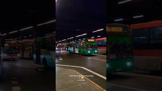 Tronador Transantiago dado de baja 😔🇨🇱 transantiago buses busologiachilena microsamarillas [upl. by Nwahsak578]