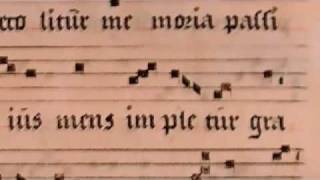 O sacrum convivium Gregorian Chant Chant Group Psallentes [upl. by Atlas]