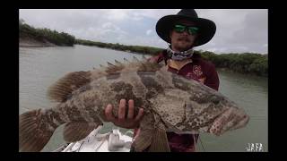 FISHING STANAGE BAY 2019 [upl. by Wey]