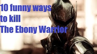 10 funny ways to kill The Ebony Warrior in SKYRIM [upl. by Eirffej]