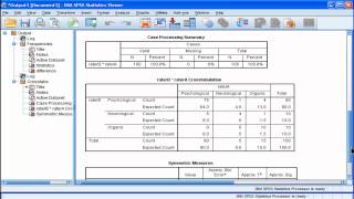 Kappa  SPSS part 2 [upl. by Stanfill]