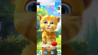 Ginger cat talkingtomfunnybox funny funbox relaxingunbox games toyboxfun gaming funboxtv [upl. by Tandie]