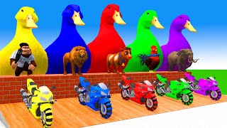 5 Giant Duck CartoonCowMammothElephantLionTiger Paint Wild Animals Crossing Fountain Animation [upl. by Gorrian72]