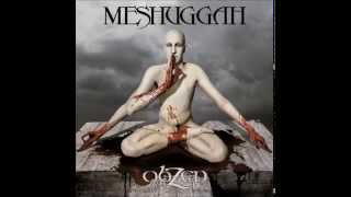 Meshuggah Pineal Gland Optics 13 SLOWER 1080p [upl. by Etsirhc]