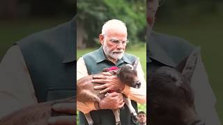 Modi gets Deepjyti the new Calif bonn at the prime ministers nescience funny comedy musicgenre [upl. by Sukram]