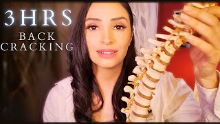 ASMR 3 HOURS BACK CRACKING ROLEPLAYS  Satisfying Back Cracking and Massage [upl. by Adoh835]