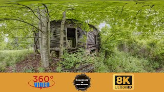 Abandoned House in Burnsville North Carolina 8K 360VR [upl. by Namaj]