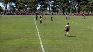 FINAL TORNEO M16 COPA DE ORO URMDP 27102024 SAN IGNACIO RUGBY 41 SPORTING 21 [upl. by Nic]