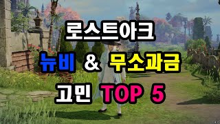 뉴비 amp 소과금 유저들의 고민 TOP5 로스트아크 [upl. by Eiuqcaj190]