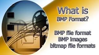 What is BMP format  bitmap file formats  BMP file format  BMP images  BMP file  developer IT [upl. by Alcinia]