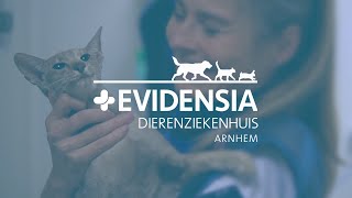 Evidensia Dierenziekenhuis Arnhem Eerstelijns Spoedarts [upl. by Akinar]