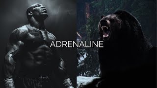 ADRENALINE [upl. by Orips]