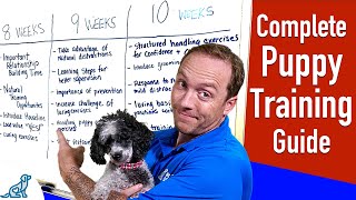 Your Complete Puppy Training Schedule By Age [upl. by Noda]