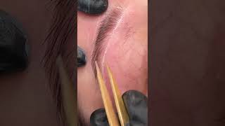 tweezing satisfying eyebrows [upl. by Assirahc899]