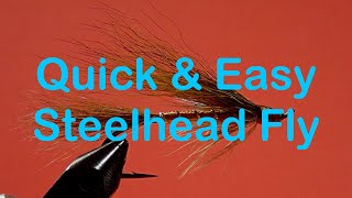 Beginners Fly Tying Series Steelhead Flies a Quick and Easy Method [upl. by Ekrub245]